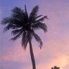 catherinemcc449